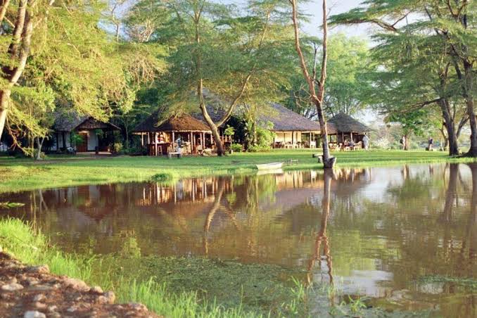 Voyager Ziwani Tented Camp