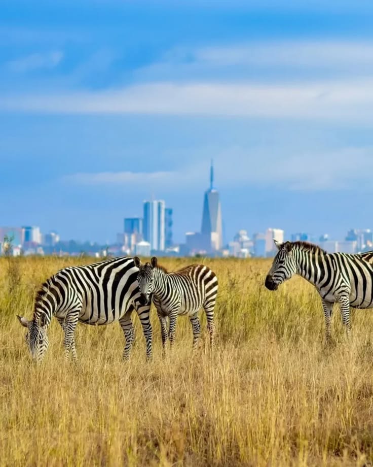 Nairobi